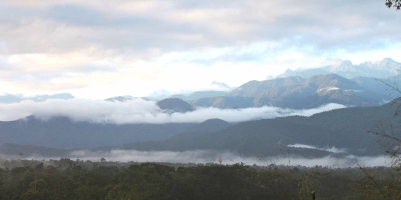 Manu vs Tambopata: Peru rainforest destinations comparison
